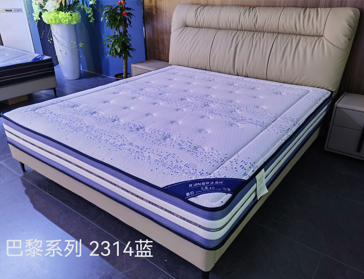 圆梦 2110橙