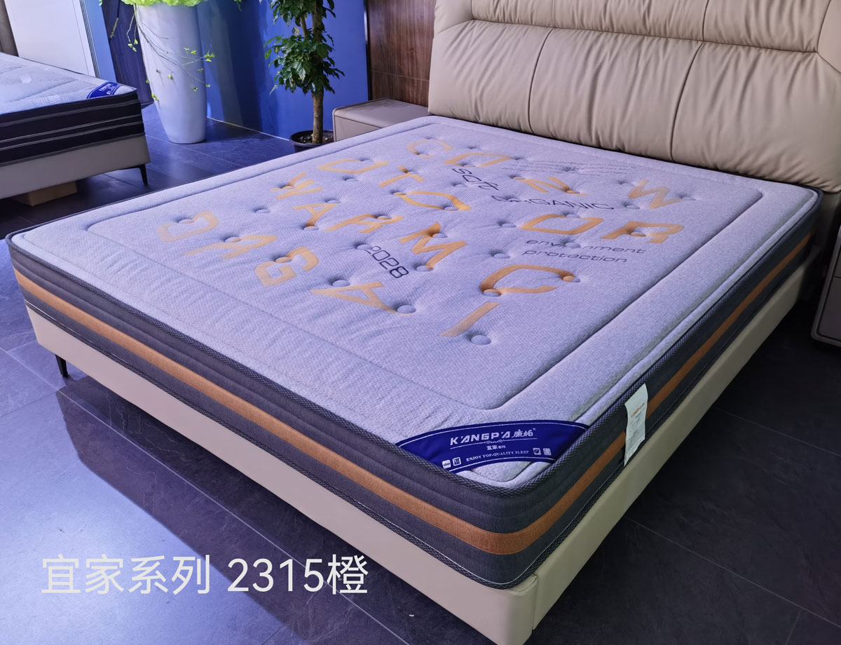 劳力仕系列 2219黑