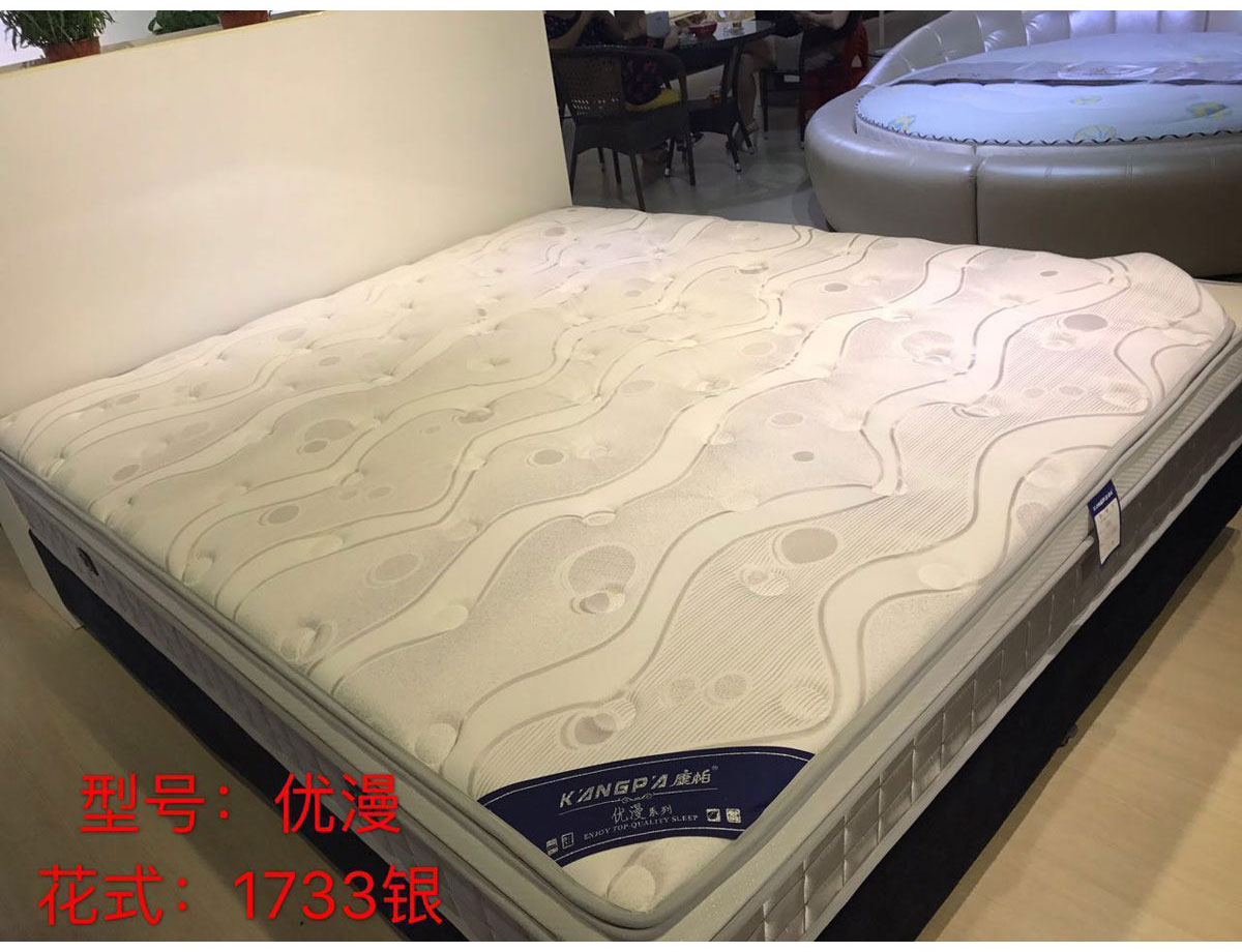 金典-1735王